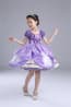 Sofia the First Deluxe Costume Dress For Girls