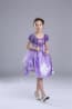 Sofia the First Deluxe Costume Dress For Girls