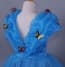 Cinderella Butterfly Dress For Girls