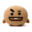 BT21 Line Friends Shooky Decorative Throw Pillow Cushion 11 Inch 30cm