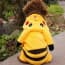 Pokemon Pikachu Costome For Dogs
