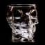 Brainfreeze Skull Ice Bucket