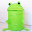 Kids Pop-Up Animal Hamper Frog