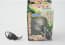 Magic Hatching Animal Egg - Beetle