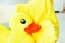 Giant Cute Yellow Duck Pillow (42 cm x 38 cm) (1.4 ft x 1.25 ft)