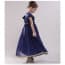 Arin Gold Embroidery Patch Cap Sleeve Girls Princess Wedding Dress