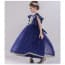 Arin Gold Embroidery Patch Cap Sleeve Girls Princess Wedding Dress