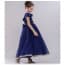 Arin Gold Embroidery Patch Cap Sleeve Girls Princess Wedding Dress