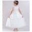 Brenna Silver Sequin Sleeveless Girls Princess Wedding Dress