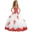 Cassiopeia Floral Lace Girls Wedding Princess Tutu Dress