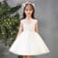 Deja Cheongsam Collar Cap Sleeve Girls Princess Dress