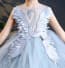 Fallon Grey Swan Cap Sleeve Girls Wedding Princess Tutu Dress