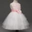 Gertie Floral Patch with Bow-knot Girls Princess Wedding Dress