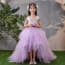 Gwynn Sparrow Embroidery Cap Sleeve Girls Princess Wedding Tutu Dress