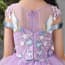 Gwynn Sparrow Embroidery Cap Sleeve Girls Princess Wedding Tutu Dress