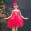 Helene Fuchsia Swan Cap Sleeve Girls Wedding Princess Tutu Dress