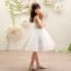 Iliana Floral Embroidery Sleeveless Girls Princess Wedding Dress