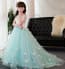 Jamie Floral Lace Short Sleeve Girls Wedding Princess Dress