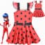 Miraculous Ladybug Dress