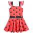 Miraculous Ladybug Dress