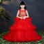 Larissa Phoenix Lurex Embroidery Girls Wedding Princess Dress