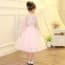 Olivia Floral Embroidery Long Sleeve Lace Girls Wedding Princess Dress