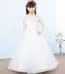 Patience Floral Embroidery Short Sleeve Girls Wedding Princess Dress