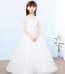 Patience Floral Embroidery Short Sleeve Girls Wedding Princess Dress