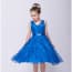 Petra Floral Lace V Neck Girls Princess Wedding Dress