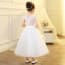 Ricki Lace V Neck Girls Wedding Princess Dress