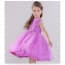 Sasha Sleeveless Tulle Girls Princess Wedding Dress