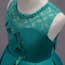 Tessa Floral Lace Embroidery Girls Wedding Princess Dress