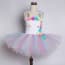 Ariadne Pastel Unicorn Rainbow Tutu Princess Dress